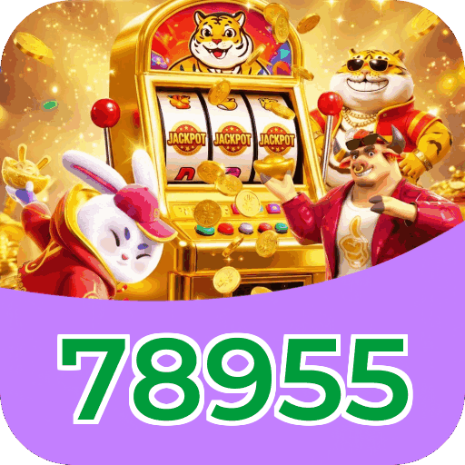 Interface 78955